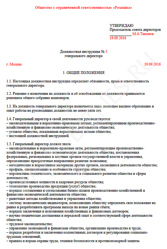 должностная инструкция включает в себя следующие разделы