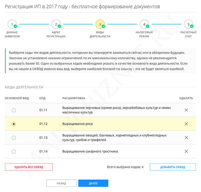 Инструкция по регистрации ИП через онлайн-сервис Инструкция по регистрации ИП