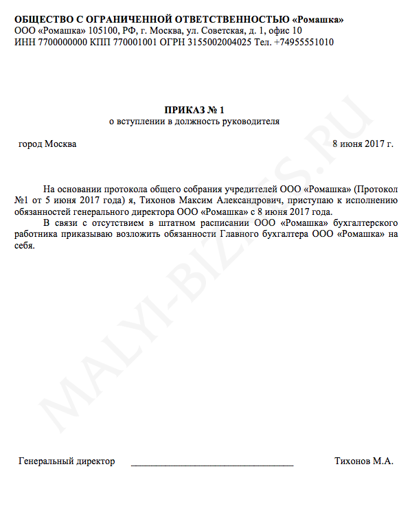Приказ о назначении директора и главного бухгалтера ооо образец с одним учредителем 2021