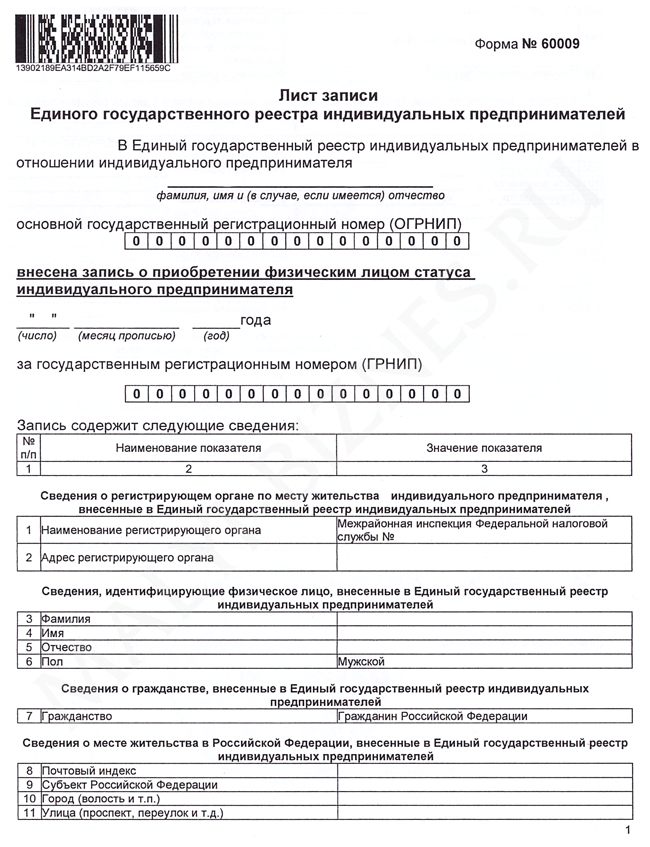 Образец листа записи ЕГРИП с номером ОГРНИП - Первая страница Лист ЕГРИП
