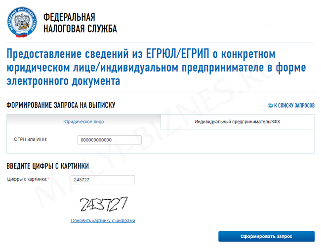 Получение выписки из ЕГРИП на сайте ФНС - второй шаг Инструкция по получении выписки из ЕГРИП