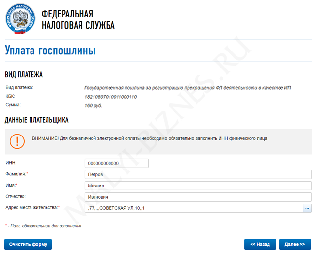Инструкция по оплате госпошлины за закрытие ИП - Данные плательщика