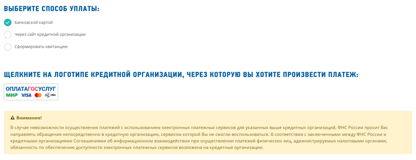 Инструкция по оплате госпошлины за закрытие ИП - Вид платежа