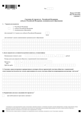 Форма Р11001 лист В страница 1