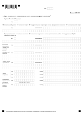 Форма Р11001 титульный лист страница 3